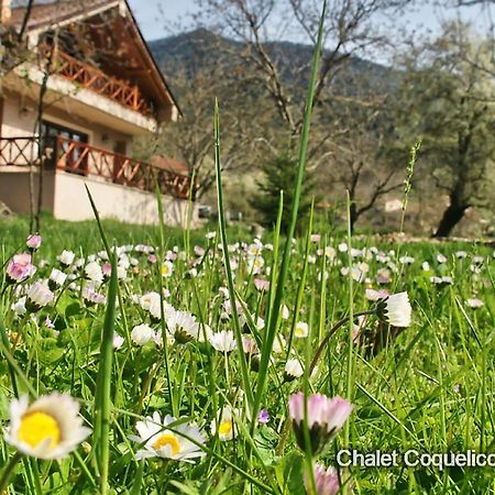 Chalet Coquelicot  Kalavryta Extérieur photo