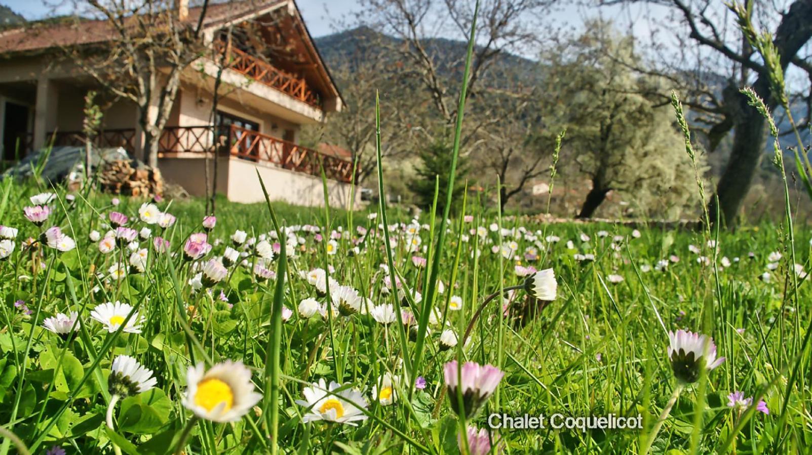 Chalet Coquelicot  Kalavryta Extérieur photo
